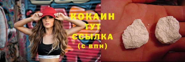 дживик Богородск
