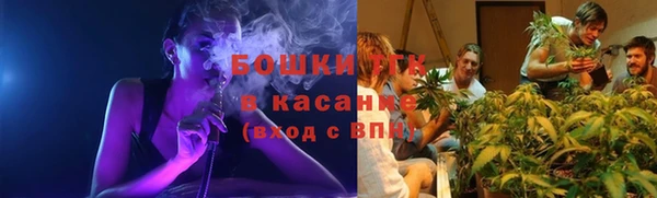 дживик Богородск
