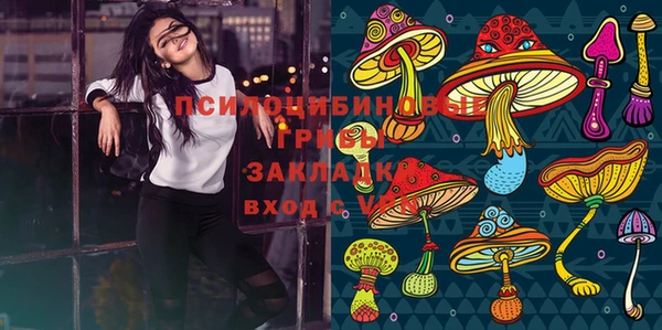прущий лед Богородицк