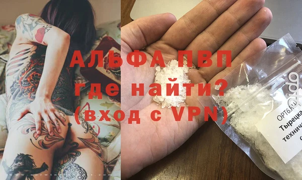 ешки Богданович