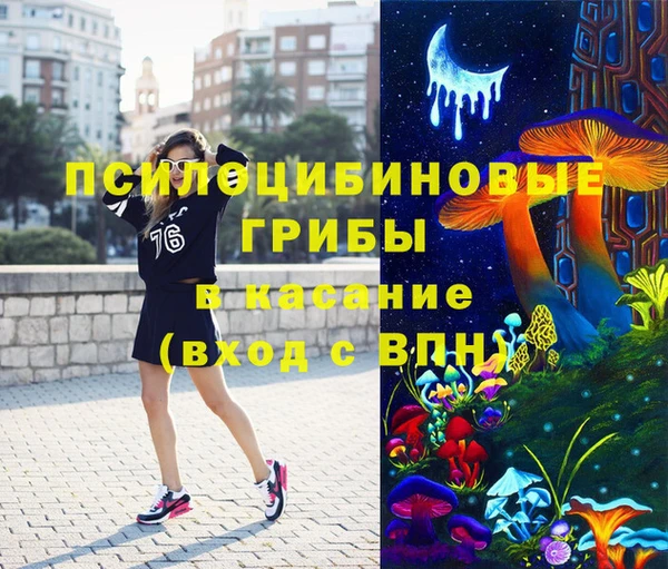 дживик Богородск