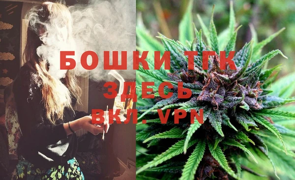 ешки Богданович