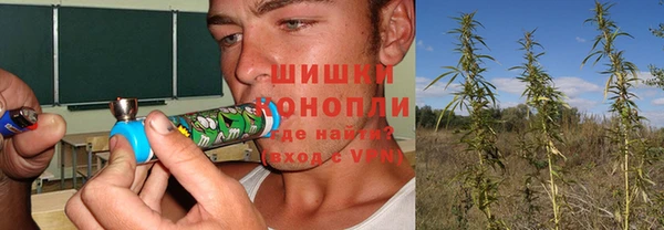 прущий лед Богородицк