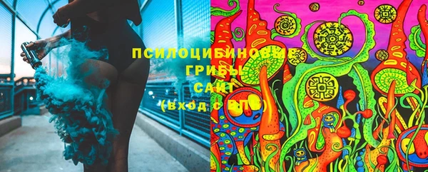 дживик Богородск